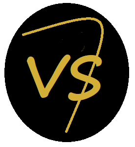 Logo VS Software